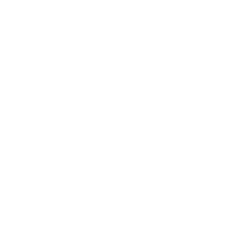 Vehículos
